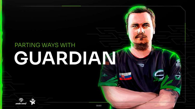 GuardiaN venstre Team Singularity