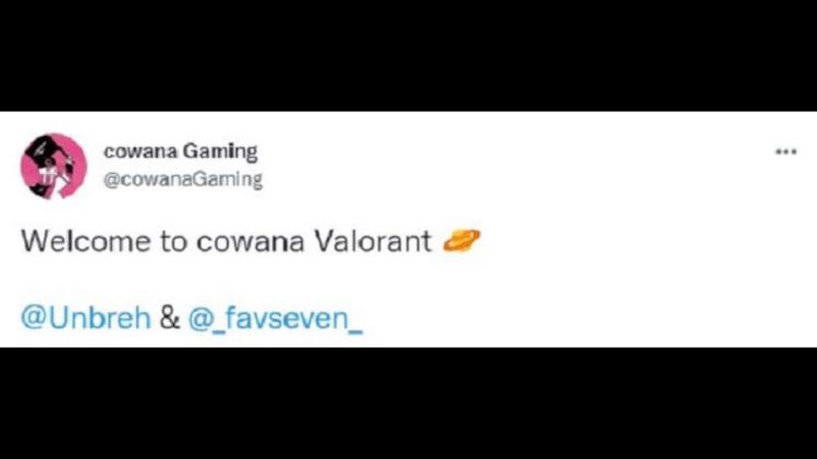 Cowana Gaming signerte to spillere på Valorant