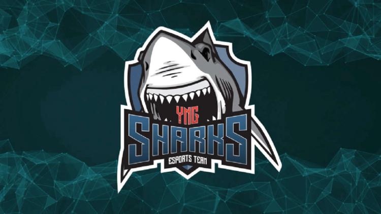 Rykter: rdnzao blir en ny spiller Sharks Esports