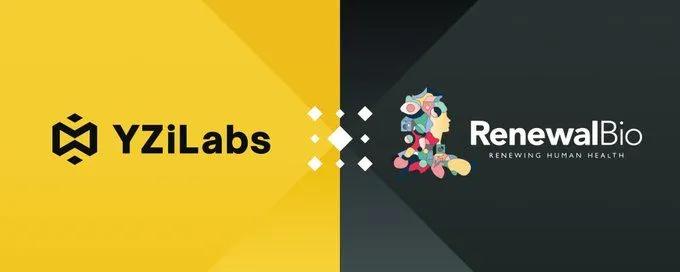 YZi Labs investerer i Renewal Bio: Et revolusjonerende skritt innen regenerativ medisin for å overvinne organmangel