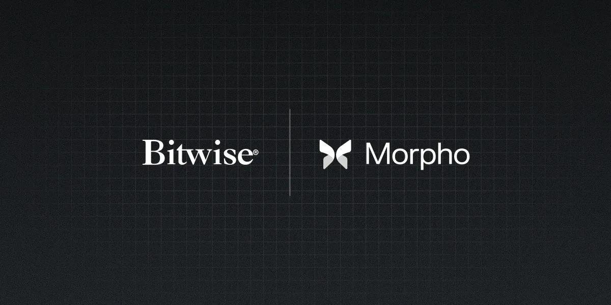 Bitwise lanserer On-Chain Vault i samarbeid med Morpho