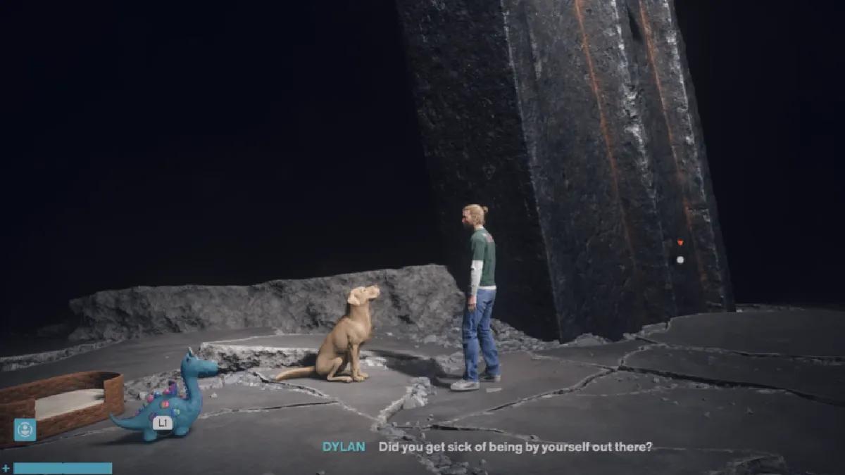 Kontrollresonant Hver hund har sin dag: Alle hunde- og lekeplasser