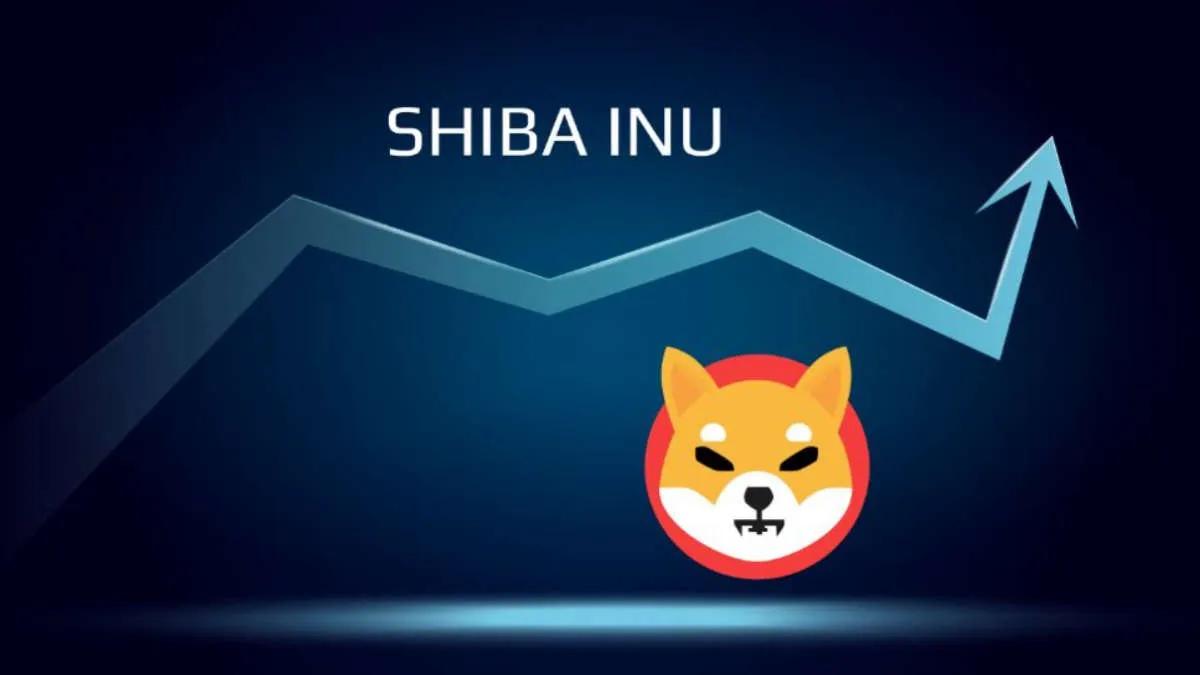 Memeakkumulering – Hvaler kjøpte 2.500.000.000.000 Shiba Inu per dag