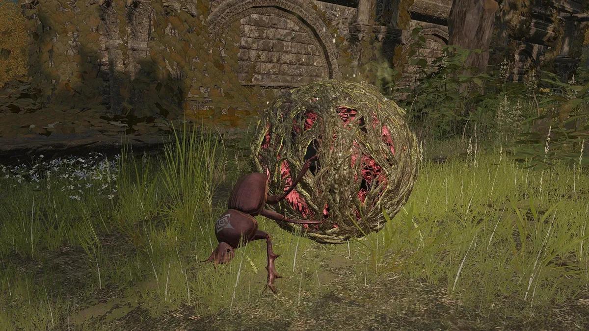 Elden Ring Player's Hilarious Defeat by Dung Beetle Highlights Game's Unforgiving Nature