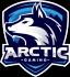 Arctic Gaming